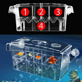 ベタ 飼育 初心者 生体 飼育セット 魚 ベタフィッシュ 熱帯魚 水槽 おしゃれ 孵化 グッピー ベタ ダンボ 隔離 分離 アクリル