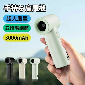 手持ち扇風機 冷却プレート付 ハンディファン 携帯扇風機 冷却プレート 扇風機 強風 冷却 充電式 5段階調節 強力 小型 可愛い 軽量 クーラー ポータブル ミニ 手持ち式 持ち運び 首掛け コンパクト 熱中症対策 猛暑対策 通勤 通学 旅行 プレゼント 防災グッズ 携帯扇風機