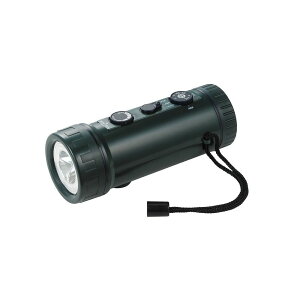 ELPA �����d�� ���W�I�t���C�g 4901087200962 DOP-660
