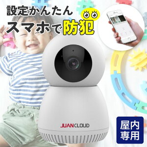 Wi-Fi�l�b�g���[�N����IP�J���� 4580720310031 JA-CA43