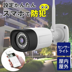 Wi-Fi���OIP�J�����Z���T�[���C�g�t 4580720310109 JA-PJ2031-W