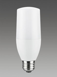 LED�d����ʓd���` LDT11L-G/S/80W/2 4974550625951 ���Ń��C�e�b�N