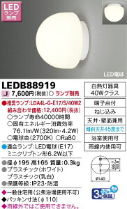 LED������ LEDB88919 4974550491044 ���Ń��C�e�b�N
