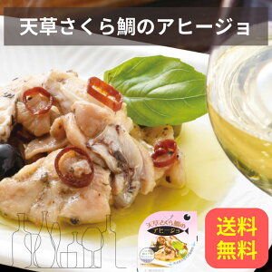 y1ʁzV Aq[Wʋl Vs h ~  ܂