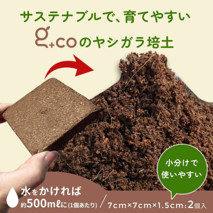 楽天市場】ココカラディスク ココピート ヤシガラ 有機培養土 栽培 