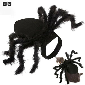 ySX|Cg5{znEB ybg ybg nEB RXv ybg  ybg H~p ybg   ybg nEBObY nEB nE