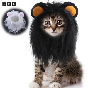 yr[TzybgRXv WCAg XpC_[ hbO RX`[ ^ ^  p ybg RXv nEB ߑ  ϐg  킢 ybgߑ nE