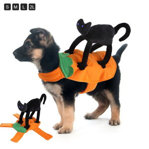 yr[Tzybg nEB RXv  ߑ RX`[ lR̕ ybg ybgObY RXvߑ  ϐg   lR  J{` ybgpi ybg nE