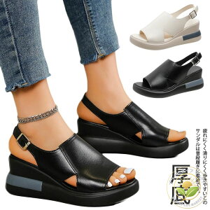 ItBXT_ ɂ  x[W C r ėp t RtH[g T_ V[Y fB[X 