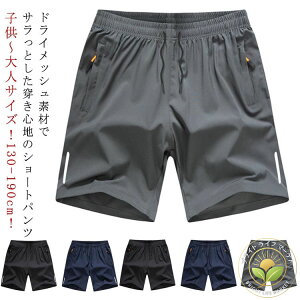 130 hCbV Y{ Zp ̎q j̎q q WjA Y LbY  pc Y{ W[W n[tpc