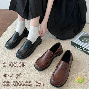 [t@[ C fB[X Xb| U[ [q[ tbg ؂  Ey tFCNU[ h  wC JWA ig Oo o| ʊw ꂢ V