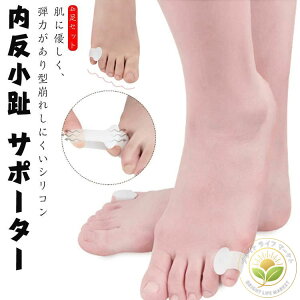 Ԃ ^R } wی \h ی  O T|[^[ VR wT|[^[ 4Zbg T|[^[