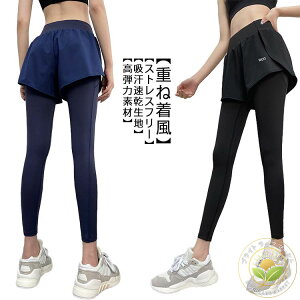 fB[X 傫TCY Xpbc  KEFA g[jOEFA W X|[cEFA EFA jO MX