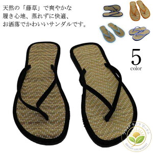 ~x JWA  T_ y f r[`T_ @ Xbp ؂  aT_ fB[X Y