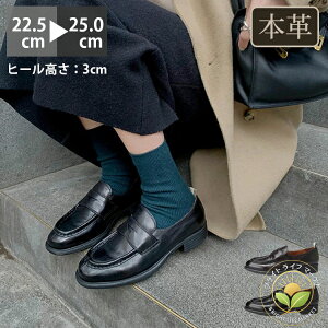 ���[�t�@�[ �C ���f�B�[�X ���E���h�g�D 3cm�q�[�� �{�v �R�� ���L �y�� �_�炩 �炭���� �V���v�� ����~�� �_�炩��