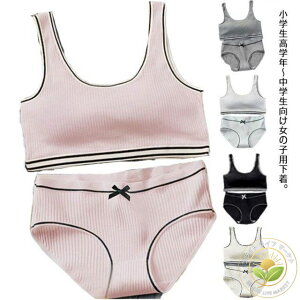 WjAuW[ ㉺Zbg 2_Zbg V[c u LbY Zbg uW[ Jbvt ̎q pc Ci[ A_[EFA WjAu X|[cu w w  