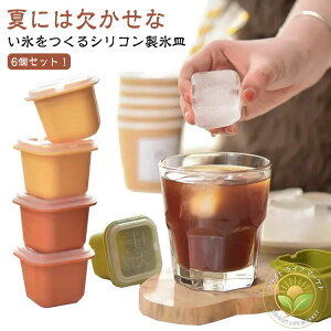 ėp ƒp ϋv Ⓚۑ lpX _炩 o₷ lpX ACXg[ 6Zbg Wt X@ VR XM