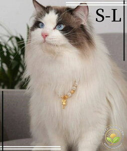 ` gCv[h  킢 ^ ^ L  `[J[  lbNX p hbO ANZT[ ybg@STCY