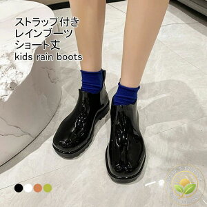 ʊw J悯 JC J t Vv ₷ ₷ _炩 ~߉H Xgbvt h h n V[gu[c