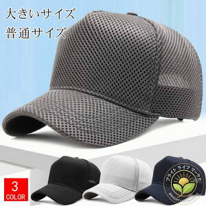 ̂̑傫ȕ rbOTCY 傫 UVJbg StXq Xq Lbv bVLbv