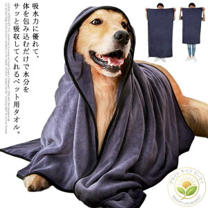 �y�b�g�p�^�I�� ���p�^�I�� ���z�� �z�� �ӂ��� �o�X�^�I�� �����C �̐@�� ���^�� ��^�� �V�����[ �V�����v�[ �z������ �h���C���[���ԒZ�k �y�b�g�p�i