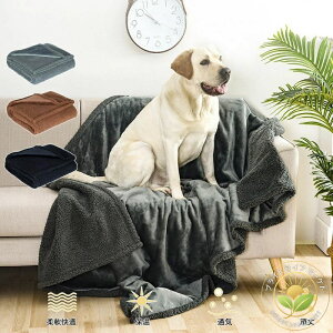 ybghuPbg  L }bg lGpg  xbh\t@[p ^ L ETM  h}bg ybgp huPbg