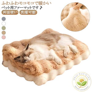 xbg xbh ybg ybgpxbh t@[ NbV xbh ӂӂ ybg}bg L 