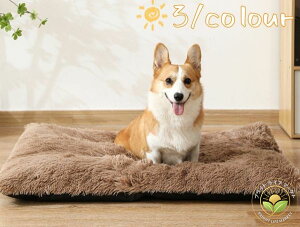 ybgxbh ybgpbh L/̃xbh ybgpi   ^ H~  킢 ɂ₳ 􂦂