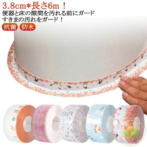 \Ă͂ L  ɂ΍ ԉ 6m 3.8cm ֊ G  ܃e[v ܃V[g 