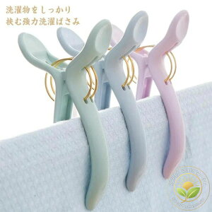 傫TCY oT~ zc΂ s`  ƃs` Ղɂ ^ ^I V[c zcJo[  Nbv