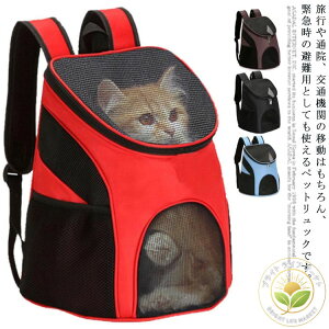 ybgL[ bN obO L  bV y v ybgL[obO ybg L[  Ck ˂ lR obNpbN ybgbN ybgpbN ^ U s a