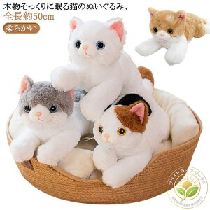 ˂ AȔL̕ Qׂ { A L ʂ u Ђ˂ L̂ʂ