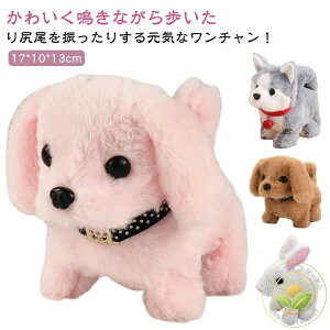  KU  ʂ l`  ׂ j̎q ʂ ybg gCv[h