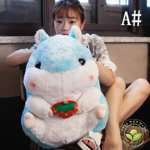 N ʂ Aʂ݁ALN^[ObYAv[gɍœK nX^[ ʂ