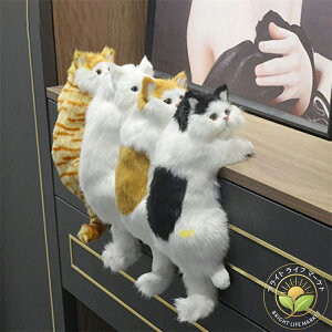 ʂ A Qׂ ˂ { lR u  CeA ʂ L lR A Qׂ