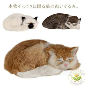 G ObY Aj}  rbgt@[  ʂ ybgX ybg L  { A ʂ