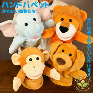 XgX ꏏɗV Ǝ ʂ Ԃ 킢 wZ 肩 b m狳 c QO