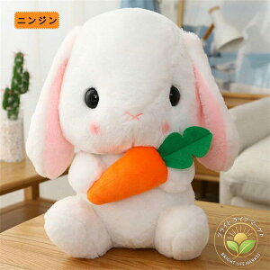 a o^Cf[ 傫 蕨 v[g 75cm 65cm rbg e  ETM Iʂ