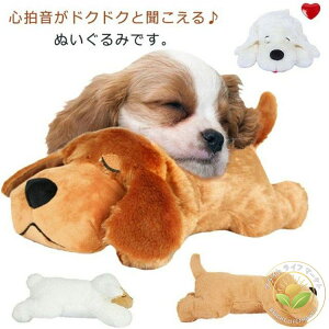 ybg p ybg ybgpi  n[g n dr Lp S ʂ  sɘa