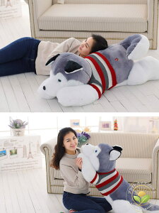 JCC  a o^Cf[ 傫 蕨 v[g   nXL[