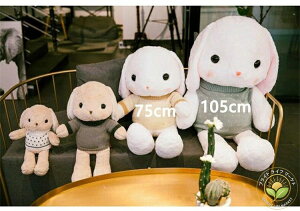  a o^Cf[ 傫 蕨 v[g 105cm 75cm rbg e  ETM