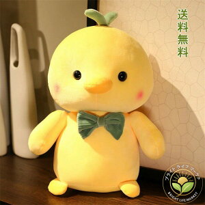 ANZT[   G ӂӂ G肢 l q 킢  NbV Ђ悱 