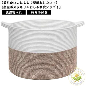 G݂ [JS e [ ߋ h[oXPbg ܏ 󕨓 ʂ D