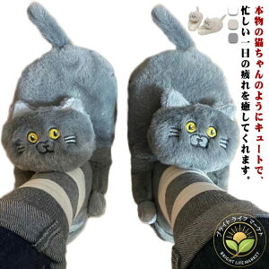 H~ g  ۉ h  ʂ  L fB[X [V[Y Xbp