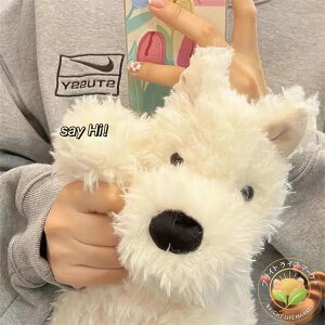 q qlR L ʂ Gӂӂ YQ    q ̎q j̎q    NbV  ܂ʂ 傫ɏ㔧G 킢