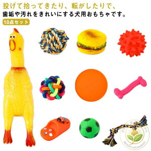   10_Zbg o ʂ {[ ybgߋ   XgXU gC TOY ߋ ybgpi ^s ϋv S YY uV