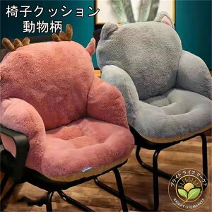 `[~O 킢 Aj} CAT L lR   ʂ Lbg  O[/sN L ֎q NbV