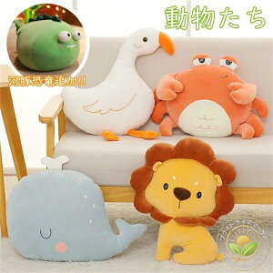 Q _炩 ̏ ܂  q  Aj} 40cm ʂ NbV 