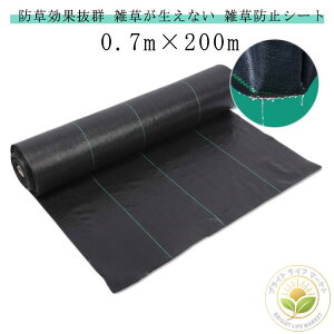 hV[g 0.7m×200m ϋvN ϋv Gh~V[g ڂV[g G V[g c  xkc  ԏ