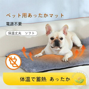 }bg ybgp zbg }bg ~p dsv R[hX  L p Lp ^p 炩 }bg \tg ̉Œ~M  ΍ h ~M @ ې 􂦂 ȃGl